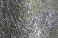 Hardstoft fibreglass roof work